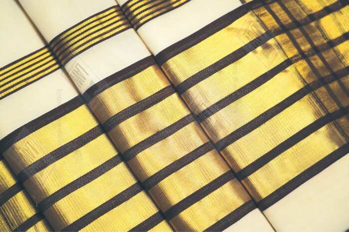 Kerala Handloom Gold & Black Kasavu Saree - Image 3