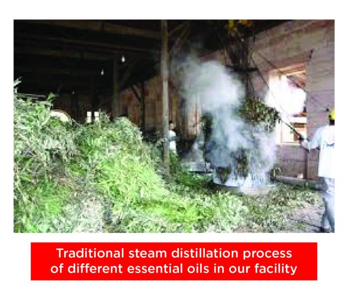 Sandalwood Essential Oil - Image 2