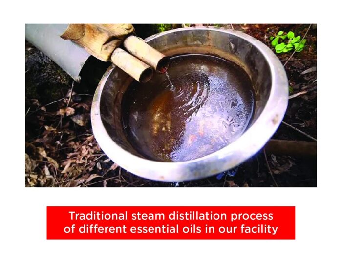 Sandalwood Essential Oil - Image 4