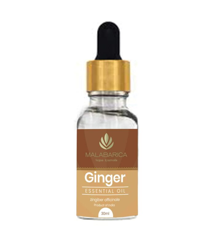 25a_aa6f5c0d-08a5-4070-aa79-ae56fb80c19f.jpg Ginger Essential Oil - (Zingiber officinale) - Image 1