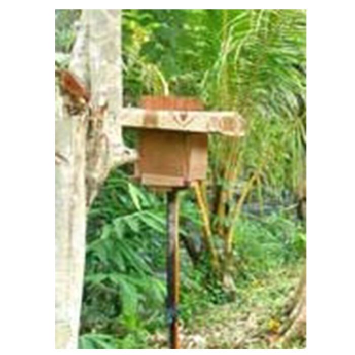 100% Pure ‘NATURAL HONEY’ from Kerala - Image 7