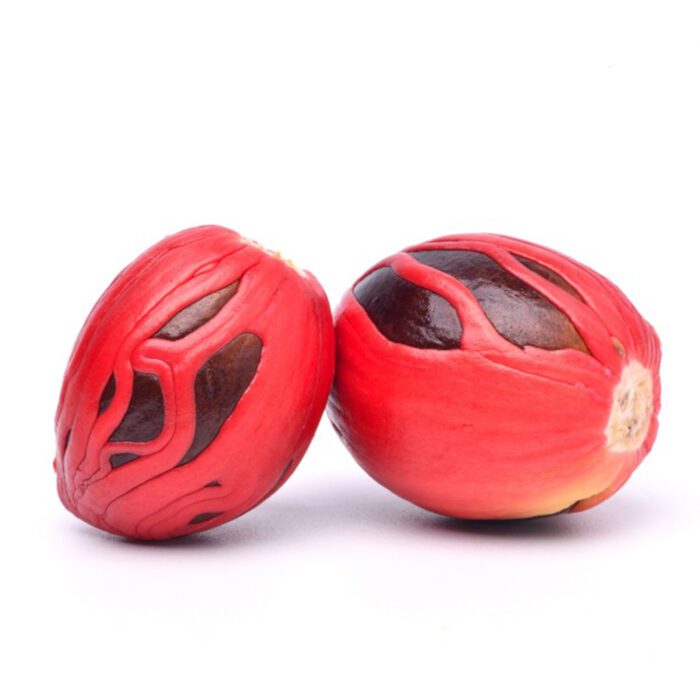 Premium Single Origin Mace Whole (Jati- patri) 50gm - Image 6
