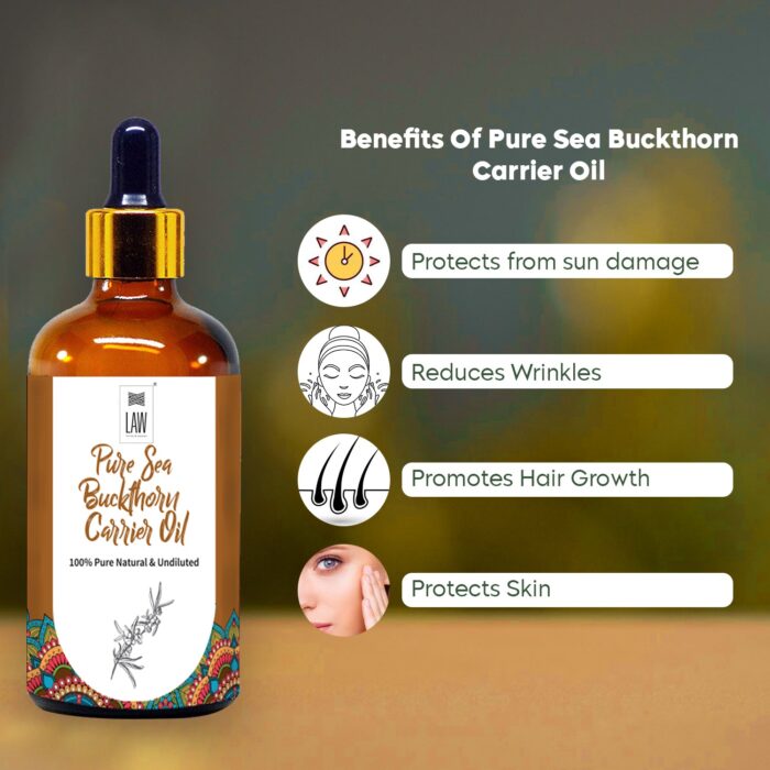 Sea Buckthorn Carrier Oil - Image 2