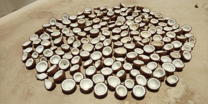 Pure Raw Wood pressed Coconut Oil from Kerala - Image 10