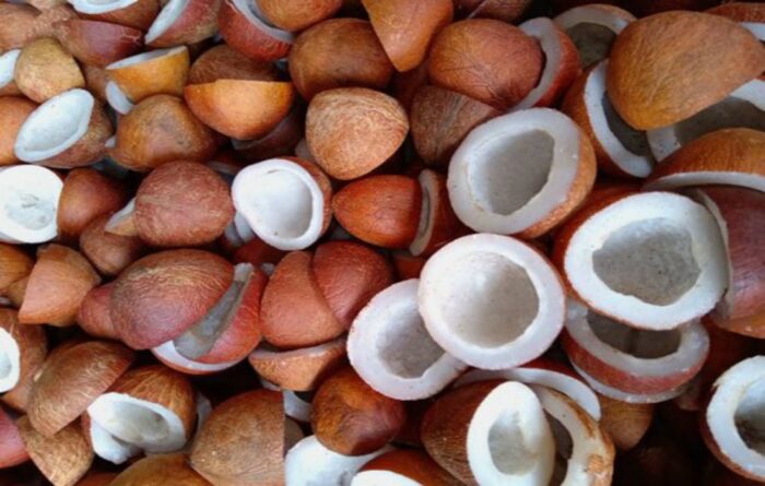 Pure Raw Wood pressed Coconut Oil from Kerala - Image 11