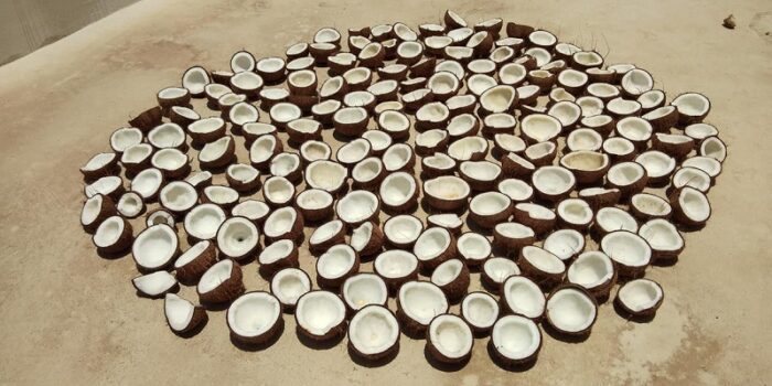 Premium Pure Raw Wood pressed Coconut Oil from Kerala - Image 12
