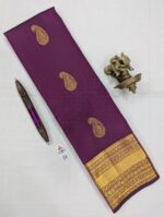 Pure Purple with Golden Kanchipuram Silk Saree (38)