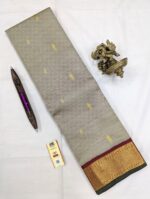 Pure Kanchipuram Beige Silk Saree (22)
