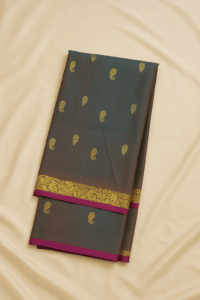 Greyish-blue with Golden Kanchipuram Silk Saree (53)