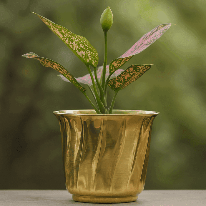 cd126a7a-8ceb-4cd2-bfc0-80140b30614d Brass Plant Pot - Image 1