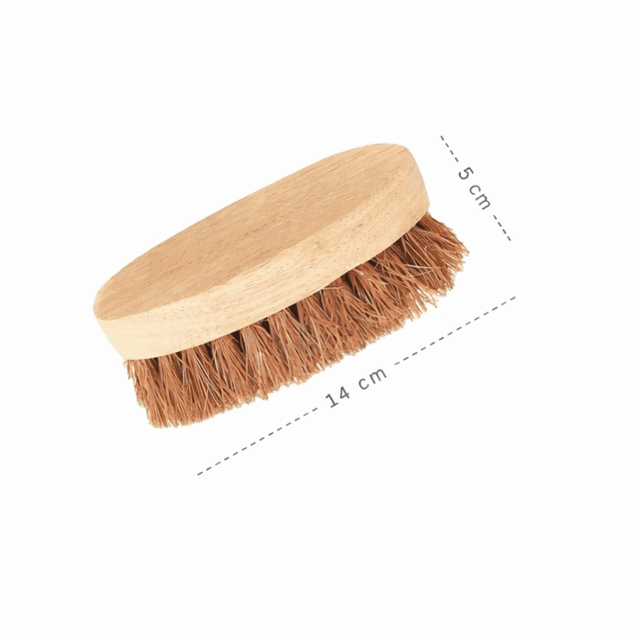 Oval Coir Brush | Wooden Handle and Coir Bristles | Suitable for Heavy scrubbing | Washing Clothes - Image 3
