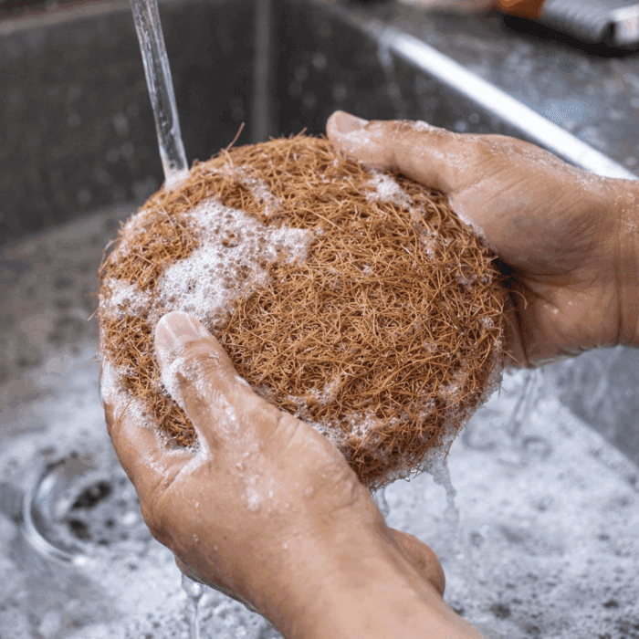 Coir bristles Scrub Kit, Set of 3 - Image 3