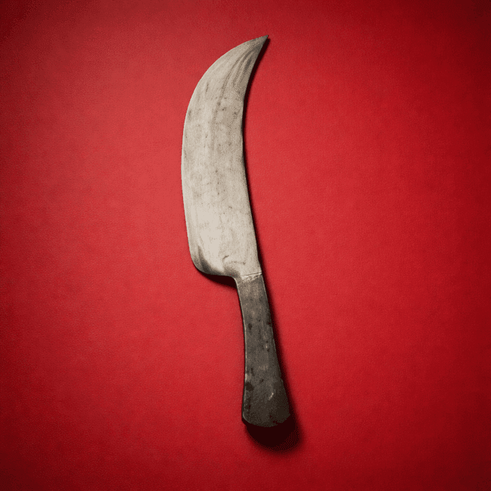 Leaf Spring Fish & Meat Chopping Knife - Image 2