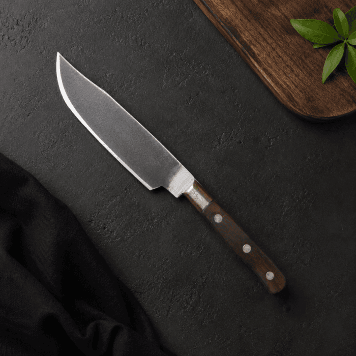 knife 12(1) Special File Japanese Chef Knife 10” - Image 1