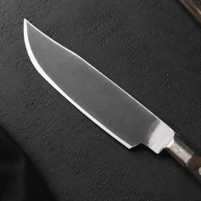Special File Japanese Chef Knife 10” - Image 2